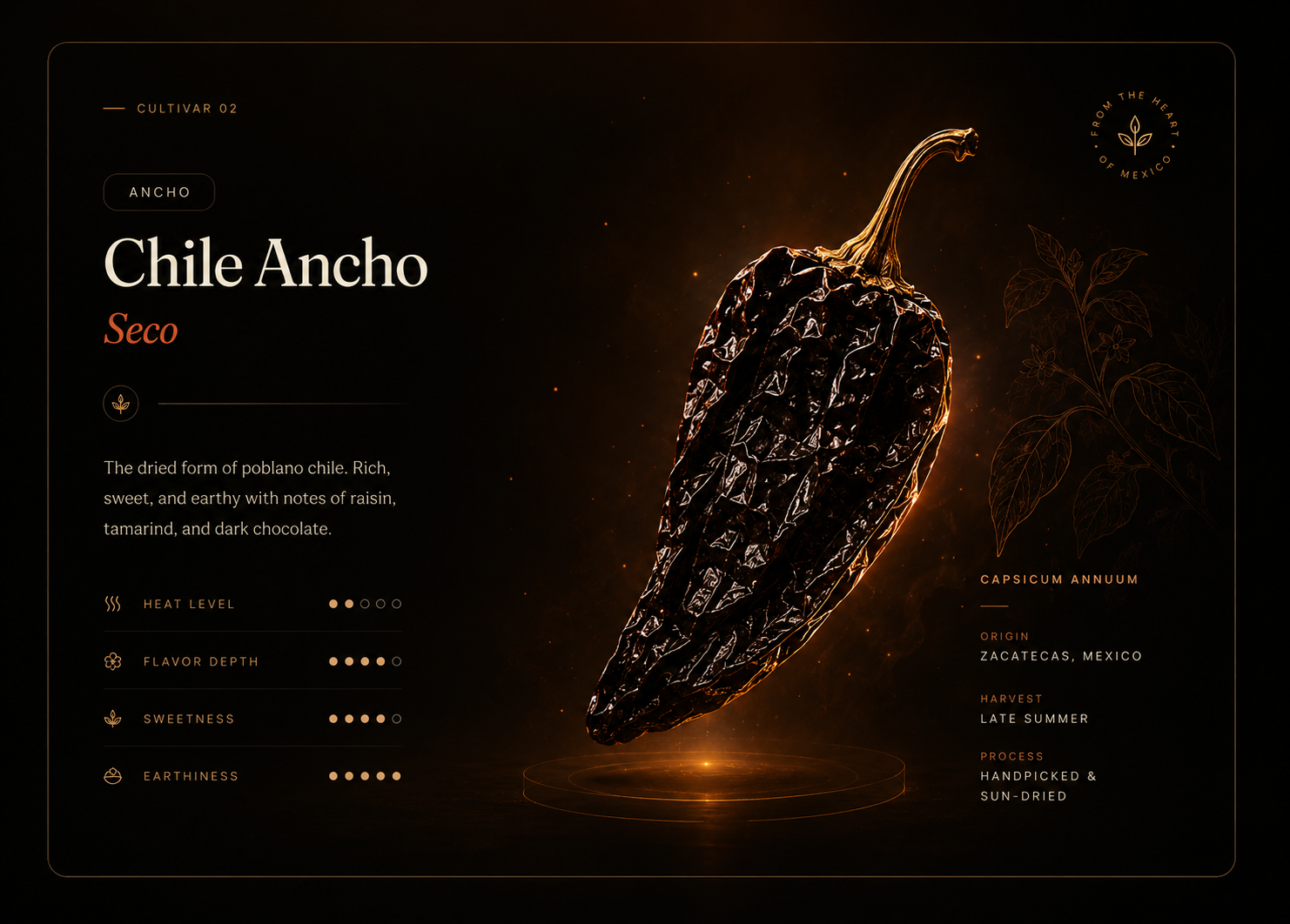 Chile Ancho Seco