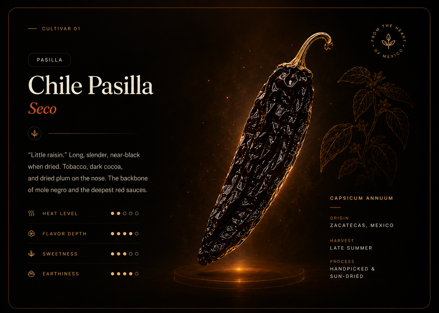 Chile Pasilla Seco